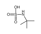 tert-butylsulfamic acid Structure
