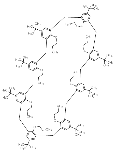 4-tert-butylcalix[8]arene octa-n-propyl ether structure