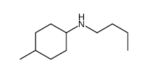 N-butyl-4-methylcyclohexan-1-amine Structure