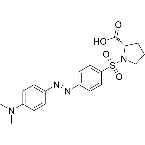 dabsyl-l-proline structure