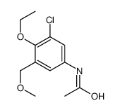 N-[3-chloro-4-ethoxy-5-(methoxymethyl)phenyl]acetamide Structure