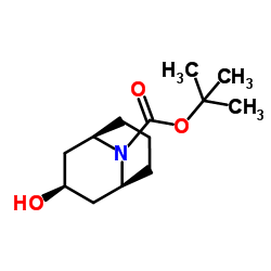 内丁基-3-羟基-9-氮杂双环[3.3.1]壬烷-9-羧酸叔丁酯图片