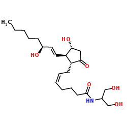 Prostaglandin E2 serinol amide structure