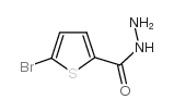 5-溴噻吩-2-甲酰肼结构式