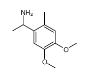 1-(4,5-dimethoxy-2-methylphenyl)ethanamine结构式