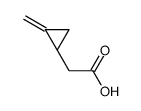 2-[(1S)-2-methylidenecyclopropyl]acetic acid Structure