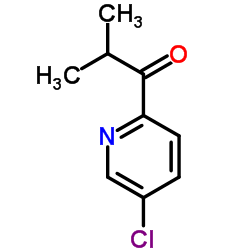 1-(5-Chloro-2-pyridinyl)-2-methyl-1-propanone Structure