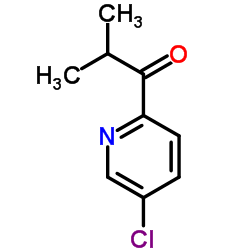 1-(5-Chloro-2-pyridinyl)-2-methyl-1-propanone结构式