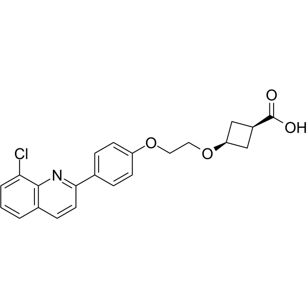 HBV-IN-16 structure