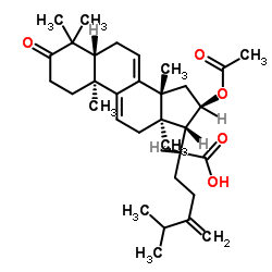 16-O-Acetylpolyporenic acid C picture