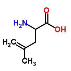 4-Methylenenorvaline结构式