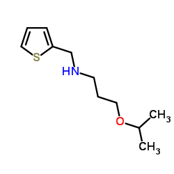 (3-ISOPROPOXY-PROPYL)-THIOPHEN-2-YLMETHYL-AMINE Structure