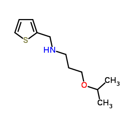 (3-ISOPROPOXY-PROPYL)-THIOPHEN-2-YLMETHYL-AMINE结构式