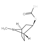 (3-hydroxy-8-methyl-8-azabicyclo[3.2.1]octan-3-yl)sulfanylmethanethioic S-acid Structure