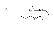 diethylmethyl[[1-methyl-1-(2-methyl-1-oxoallyl)oxy]ethyl]ammonium chloride结构式