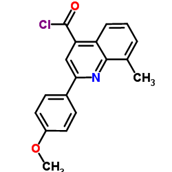 2-(4-Methoxyphenyl)-8-methyl-4-quinolinecarbonyl chloride结构式