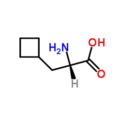 (S)-2-氨基-3-环丁基丙酸结构式