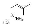 O-(3-methylbut-2-enyl)hydroxylamine,hydrochloride结构式