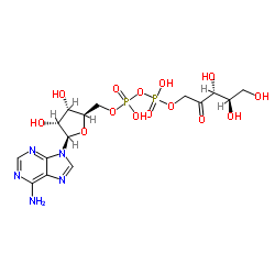 adenosine diphosphate ribulose Structure