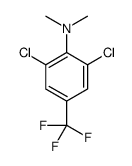 2,6-dichloro-N,N-dimethyl-4-(trifluoromethyl)aniline Structure