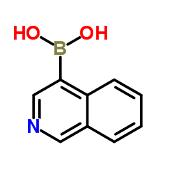 4-异喹啉硼酸图片