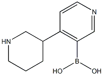 4-(Piperidin-3-yl)pyridine-3-boronic acid结构式