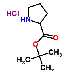Pyrrolidine-2-carboxylic acid tert-butyl ester HCl结构式