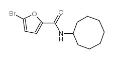 5-bromo-N-cyclooctylfuran-2-carboxamide图片