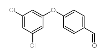 4-(3,5-DICHLORO-PHENOXY)-BENZALDEHYDE picture