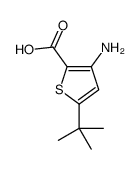 3-氨基-5-(叔丁基)噻吩-2-羧酸图片