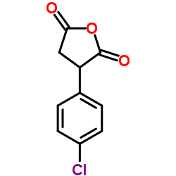 3-(4-Chlorophenyl)dihydro-2,5-furandione picture