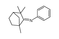 2,2,4-trimethyl-N-phenylbicyclo[2.2.1]heptan-3-imine Structure