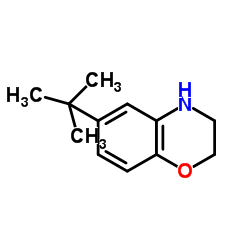 6-(2-Methyl-2-propanyl)-3,4-dihydro-2H-1,4-benzoxazine结构式