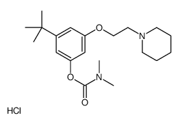 [3-tert-butyl-5-(2-piperidin-1-ylethoxy)phenyl] N,N-dimethylcarbamate,hydrochloride Structure