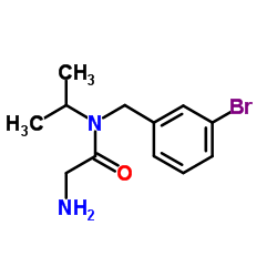 N-(3-Bromobenzyl)-N-isopropylglycinamide结构式