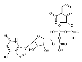 Caged GTP structure