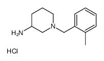 1-(2-Methyl-benzyl)-piperidin-3-ylamine hydrochloride Structure