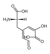 4,5-Secodopa (6-amino-2-hydroxy-4-(2'-oxoethylidene)hept-2-enedioic acid) Structure