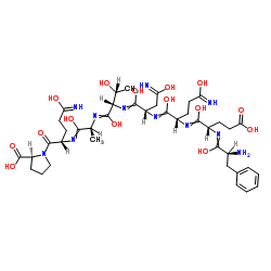 (Gln⁵³)-Connexin 37 (51-58) (human, mouse, rat) Structure