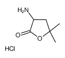 3-amino-5,5-dimethyloxolan-2-one,hydrochloride Structure