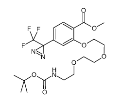 2-[2-[2-(2-t-Boc-aminoethoxy]ethoxy]ethoxy]-4-[3-(trifluoromethyl)-3H-diazirin-3-yl]benzoic Acid, Methyl Ester Structure