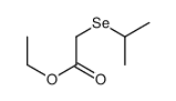 ethyl 2-propan-2-ylselanylacetate结构式