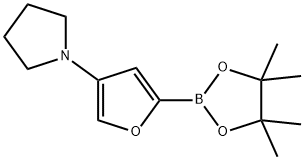4-(Pyrrolidino)furan-2-boronic acid pinacol ester Structure