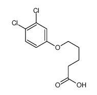 5-(3,4-dichlorophenoxy)pentanoic acid Structure