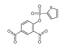 (2,4-dinitrophenyl) thiophene-2-sulfonate结构式