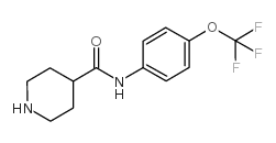 N-(4-三氟甲氧基苯基)哌啶-4-甲酰胺结构式