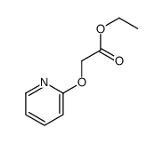 ACETIC ACID, (2-PYRIDYLOXY)-, ETHYL ESTER picture