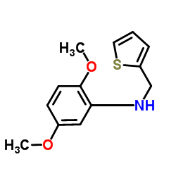 2,5-Dimethoxy-N-(2-thienylmethyl)aniline Structure