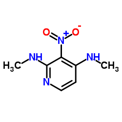 N2,N4-dimethyl-3-nitropyridine-2,4-diamine结构式