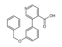 3-(3-phenylmethoxyphenyl)pyridine-4-carboxylic acid Structure